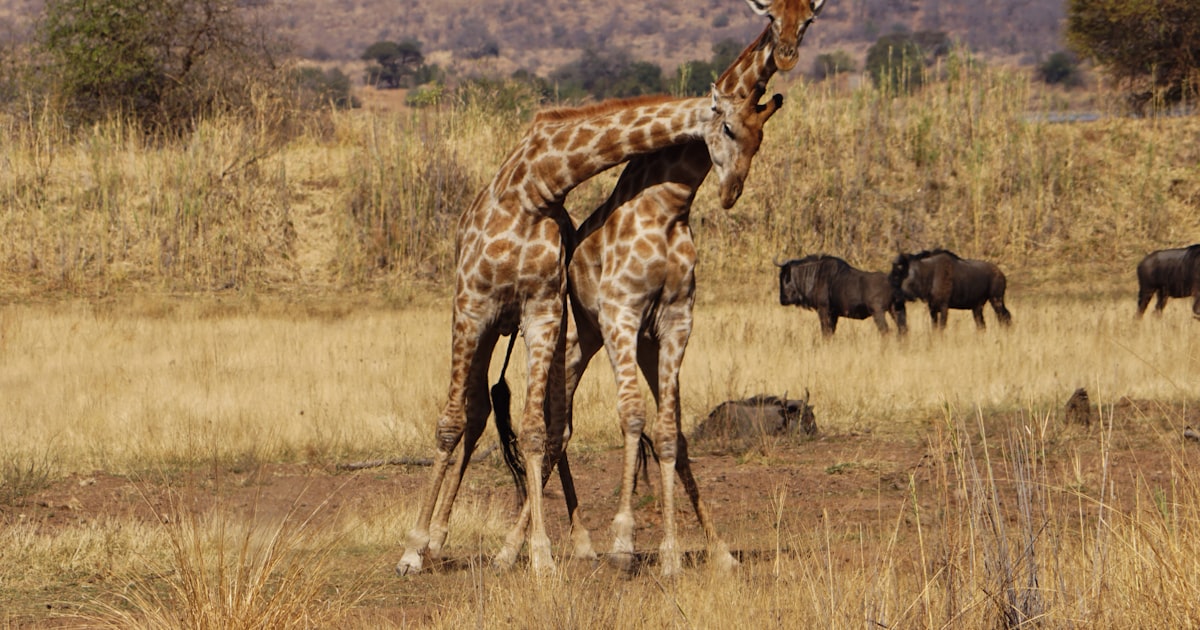Rustenburg cityscape